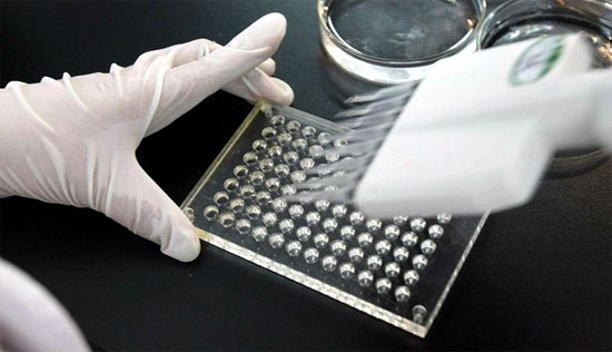 Picture 1 of SARS-like virus attacks Saudi Arabia