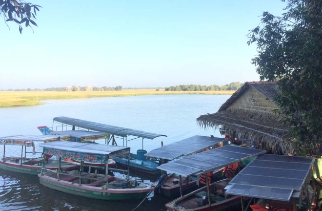 Picture 10 of Sarus cranes leave Vietnam to Cambodia