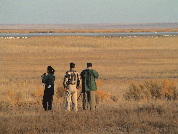 Picture 10 of Saryarka - The lakes and prairies of northern Kazakhstan