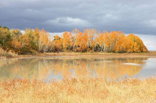 Picture 2 of Saryarka - The lakes and prairies of northern Kazakhstan