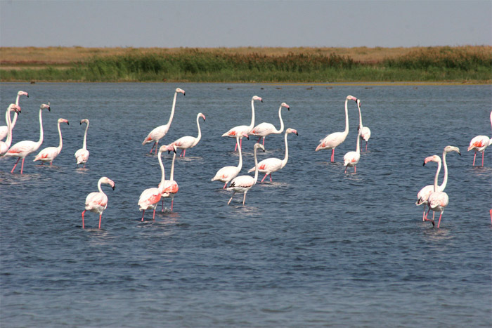 Picture 6 of Saryarka - The lakes and prairies of northern Kazakhstan