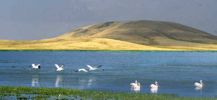 Picture 9 of Saryarka - The lakes and prairies of northern Kazakhstan