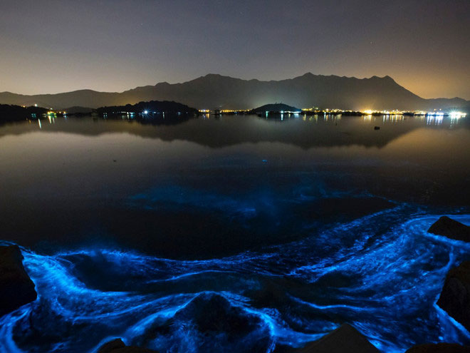Picture 10 of Saudi Arabia's $ 500 billion city uses the artificial moon