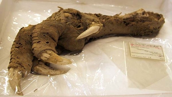 Picture 6 of Scary archaeological findings