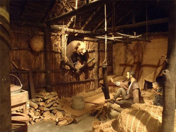 Picture 3 of Scary of the bloodthirsty animal cases of human massacre