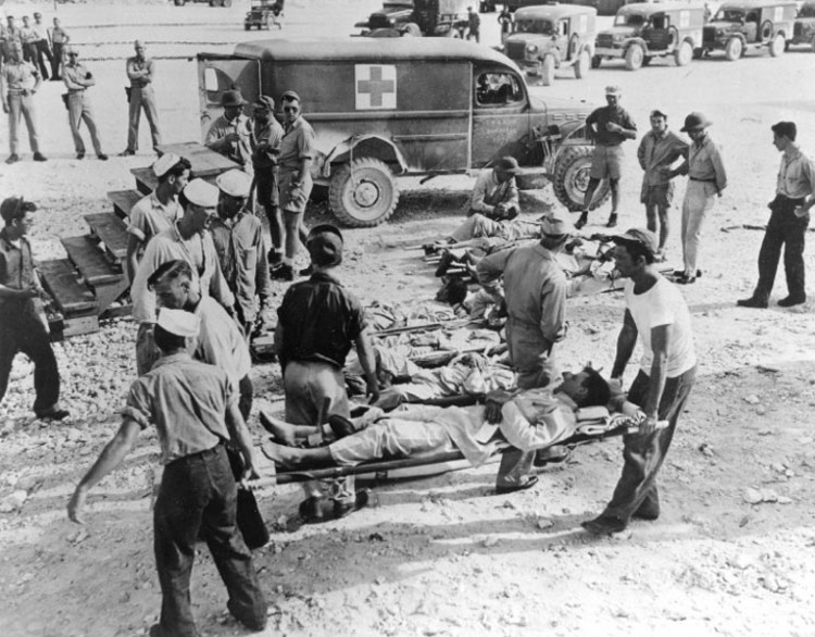 Picture 8 of Scary of the bloodthirsty animal cases of human massacre