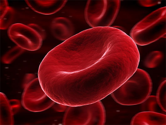 Picture 1 of Scary things nobody knows about blood