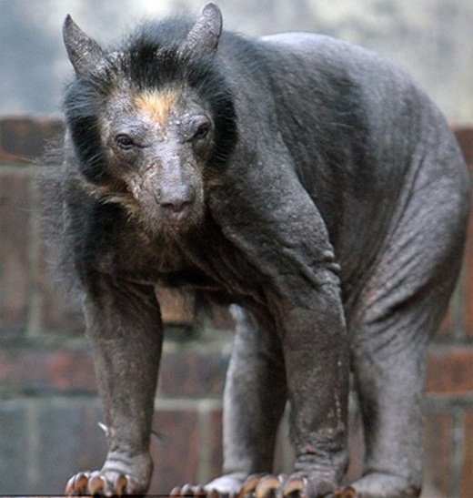 Picture 12 of Scary things you don't know about the natural world