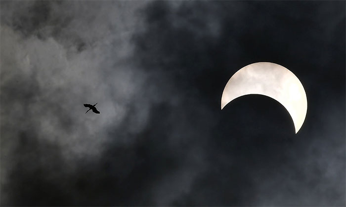Picture 8 of Scene of the eclipse of the fire circle going through Asia