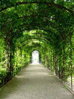 Picture 3 of Schloss Schönbrunn Palace