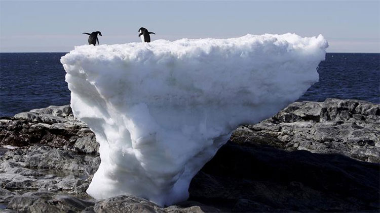 Picture 1 of Science claims that there will be at least 187 million people lost their place at the end of the century