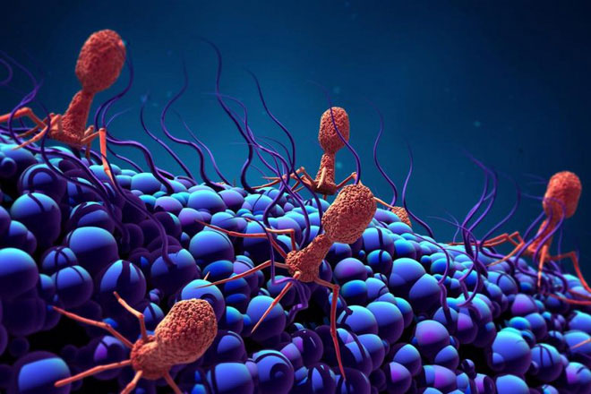 Science has discovered giant viruses with the ability to 'steal' other species' characteristics images 4