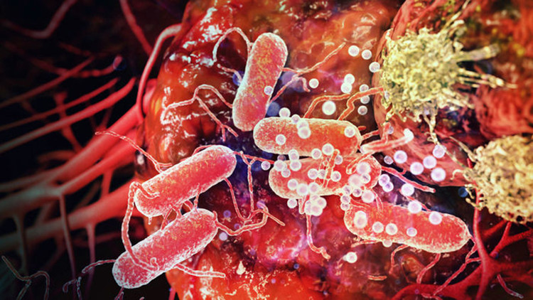 Picture 2 of Science makes a virus that kills cancer cells, a major turning point for mankind?