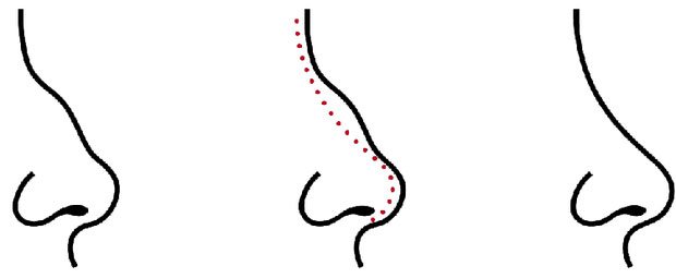 Picture 5 of Science says that 14 parts of the body will reveal your intelligence