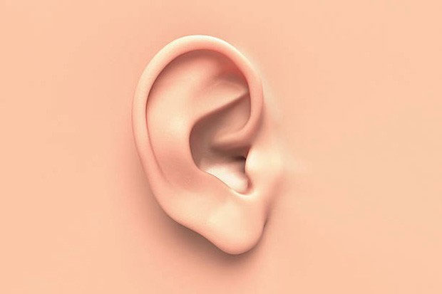 Picture 8 of Science says that 14 parts of the body will reveal your intelligence