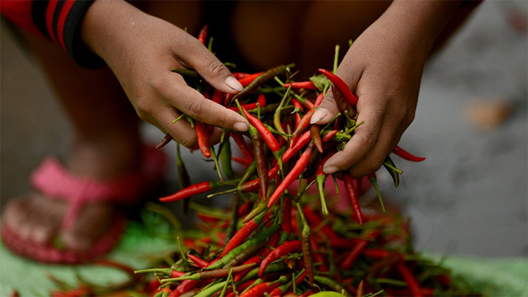 Picture 1 of Science: Spicy eating may increase the risk of dementia