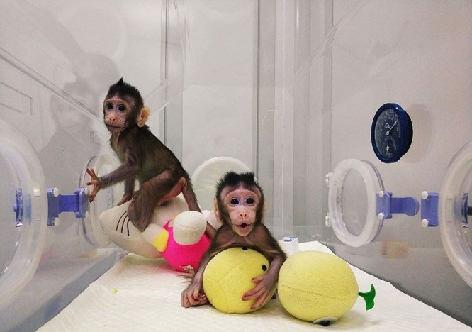 Picture 12 of Scientific discoveries may change the world in the future