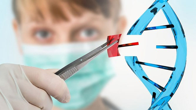 Picture 13 of Scientific discoveries may change the world in the future
