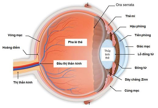 Picture 6 of Scientific explanation for the phenomenon of