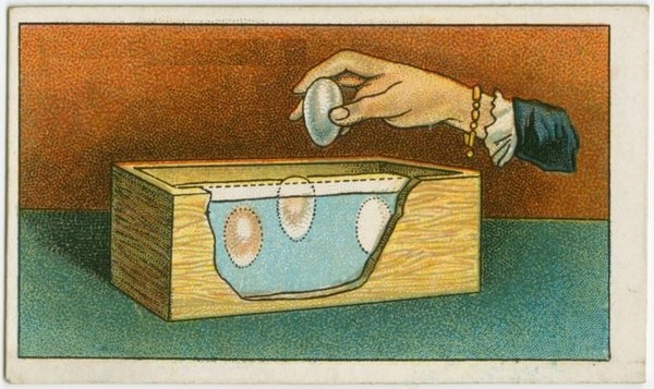 Picture 8 of Scientific tips help you survive in life