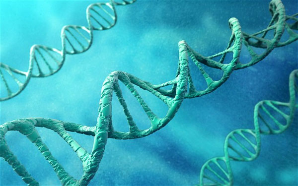 Picture 3 of Scientists are about to find a way to cure obesity