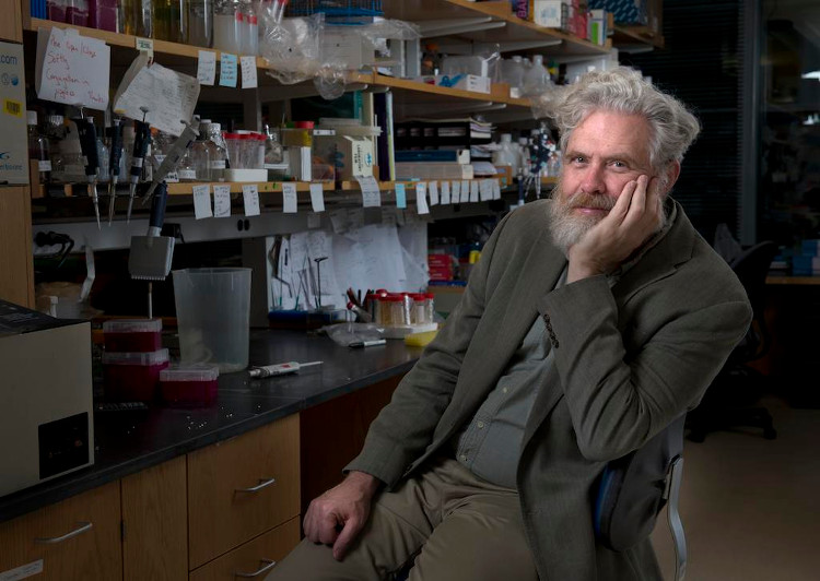 Picture 1 of Scientists are getting closer to rewriting the