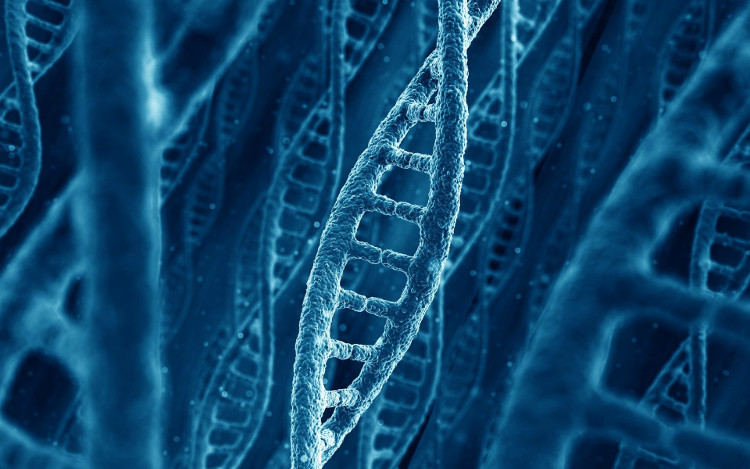 Picture 2 of Scientists are getting closer to rewriting the