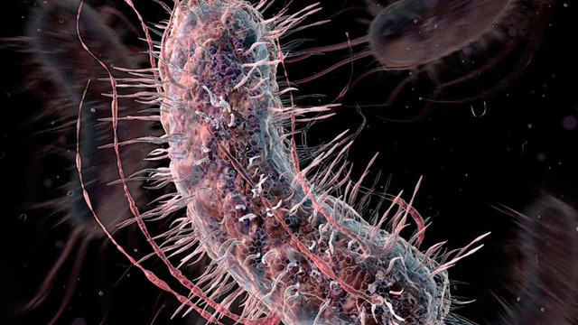 Picture 3 of Scientists are getting closer to rewriting the