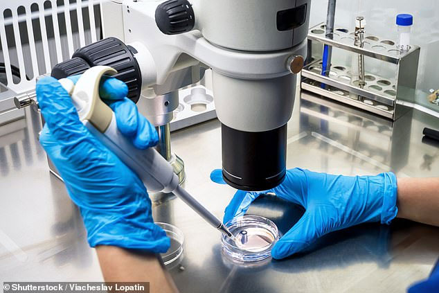 Picture 1 of Scientists 'create' viruses that destroy all types of cancer cells