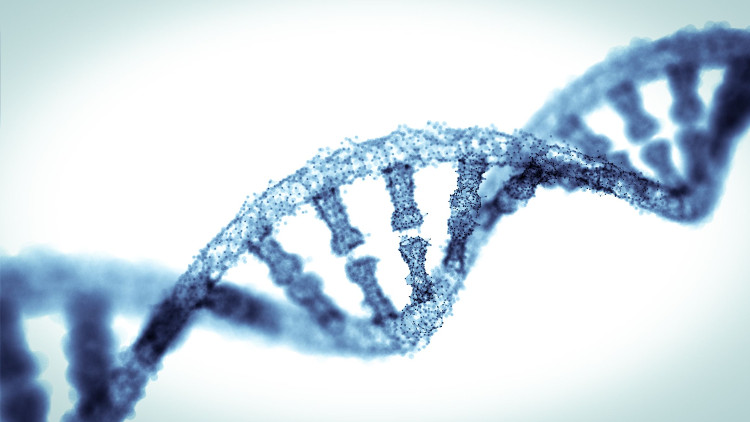 Picture 2 of Scientists discovered 52 smart genes that determine 5% of your intelligence