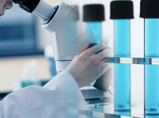 Picture 1 of Scientists discovered the type of tumor suppressor gene