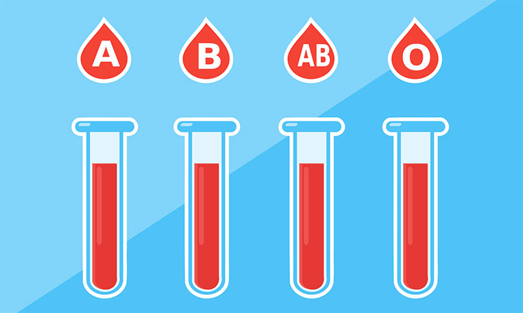 Picture 1 of Scientists effectively convert group A and B blood into group O, which can be transmitted to anyone
