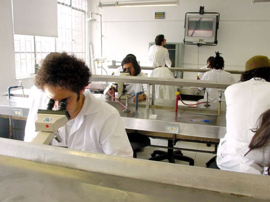 Picture 1 of Scientists explain why bacteria are greasy
