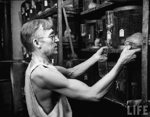 Picture 9 of Scientists forget about themselves because of research