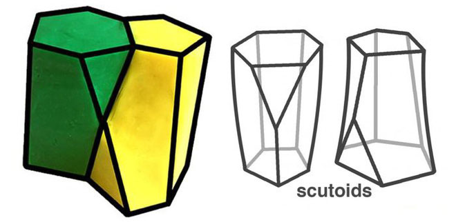 Picture 3 of Scientists found a completely new, unnamed shape in Mathematics