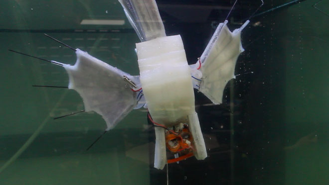 Picture 3 of Scientists have just created fish robots that run by 'blood'