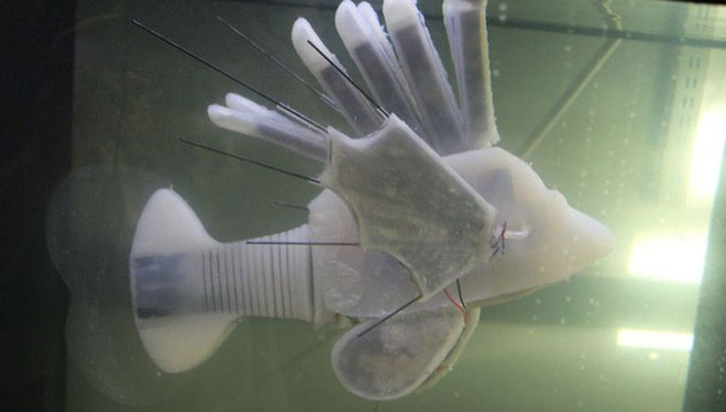 Picture 4 of Scientists have just created fish robots that run by 'blood'