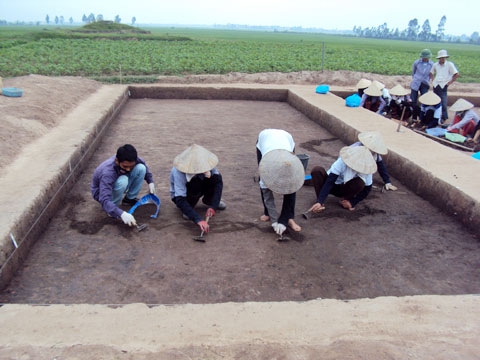 Picture 2 of Scientists stir because of the 3,000-year-old grain germination