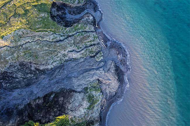 Scientists worry because weed is growing in the Arctic images 1
