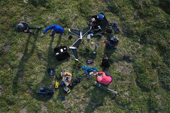 Scientists worry because weed is growing in the Arctic images 2