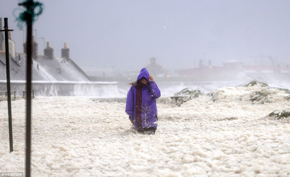 Picture 2 of Scotland sinks in the bubble storm
