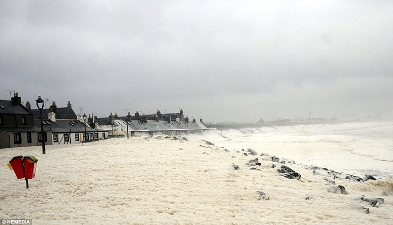 Picture 4 of Scotland sinks in the bubble storm