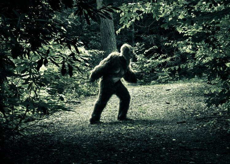 Picture 1 of Search for traces of 3 giant monsters on Earth: The scientific world cannot ignore it