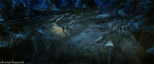 Picture 2 of Searching for traces of giant spider monsters eating humans in ancient times