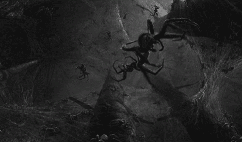 Picture 3 of Searching for traces of giant spider monsters eating humans in ancient times