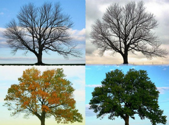 Picture 2 of Seasonal transition makes people change 'unpredictable'