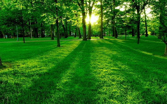 Picture 3 of Seasonal transition makes people change 'unpredictable'