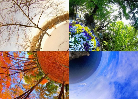 Picture 5 of Seasonal transition makes people change 'unpredictable'