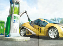 Picture 1 of Seaweed energy of the future