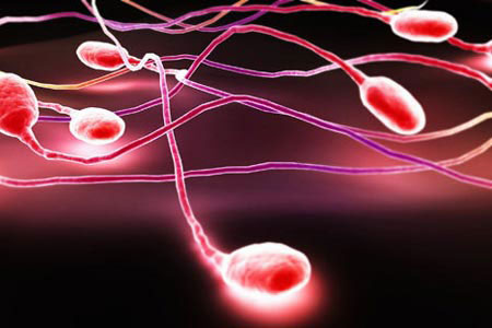 Picture 1 of Secret decoding of the